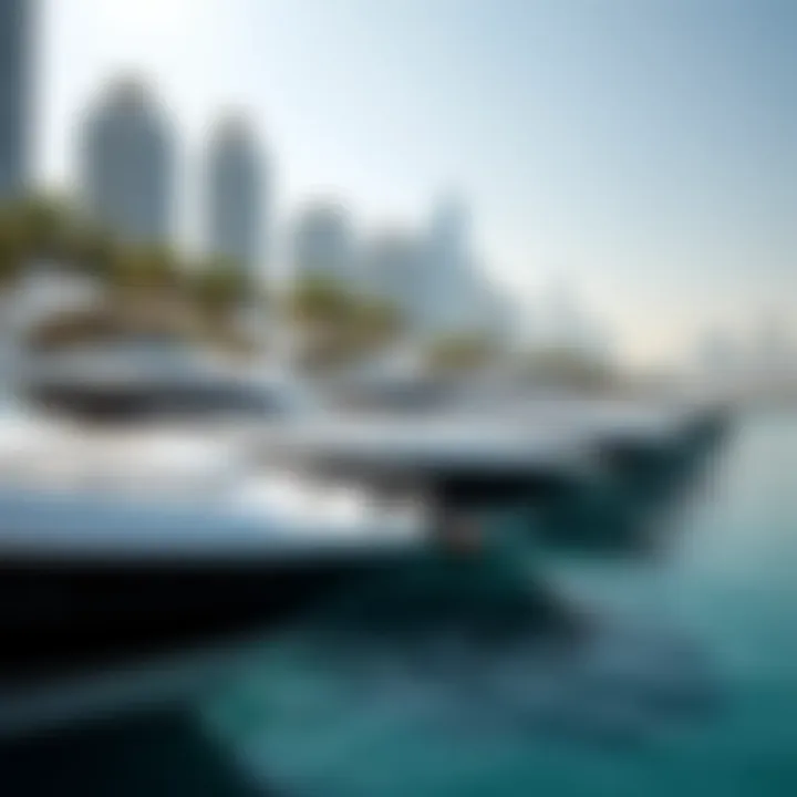 The luxurious yachts docked at the marina with stunning architecture in the background