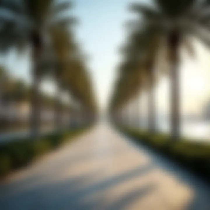 A tranquil view of the waterfront promenade surrounded by palm trees