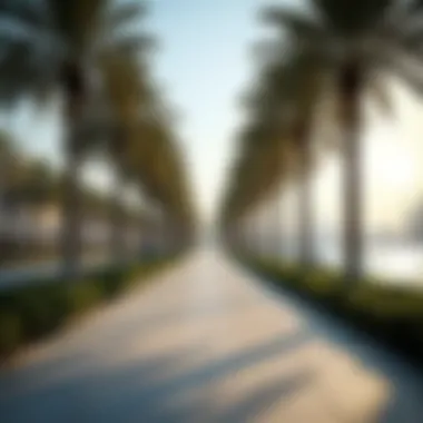Peaceful Waterfront Promenade at Dubai Marina A tranquil view of the waterfront promenade surrounded by palm trees