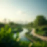 A panoramic view of Al Safa Park showcasing lush greenery and tranquil walking paths