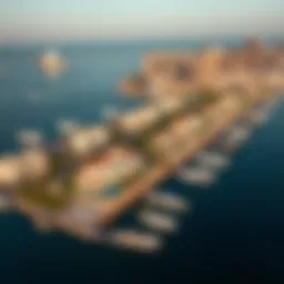 Aerial view of نخل جمیرا showcasing its luxurious properties and stunning coastline