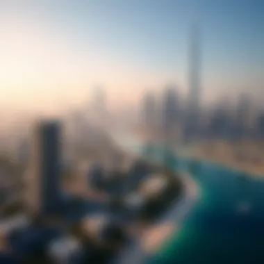 Dubai Skyline and Rental Properties Overview of Dubai skyline with rental properties highlighted