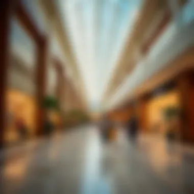 The Dubai Mall: A Luxury Shopping Paradigm Luxurious shopping experience at The Dubai Mall